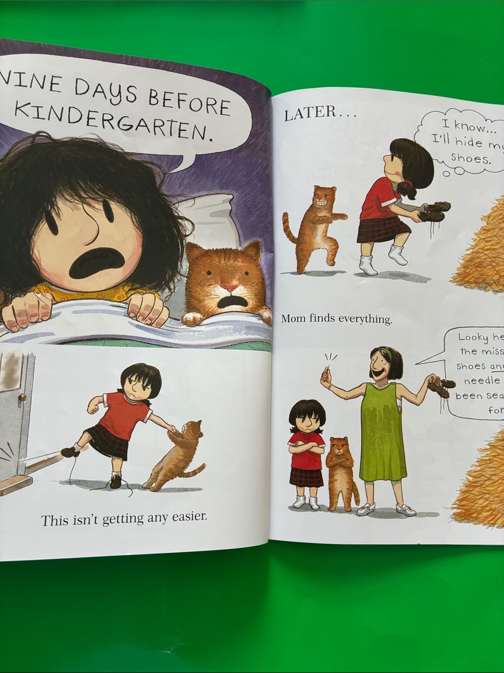 Kindergarten Readiness Bundle #6 (Singing Fox & 2 books) - Picture 15 of 17